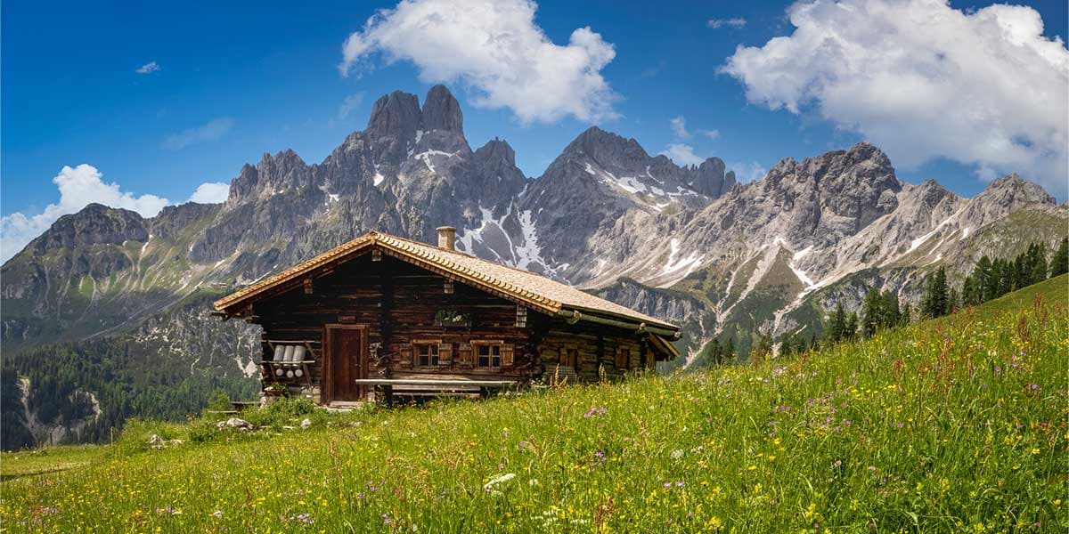 Holzhaus / Berghütte in Österreich: Idyllische Landschaft in den Alpen mit Blumenwiese in den Alpen