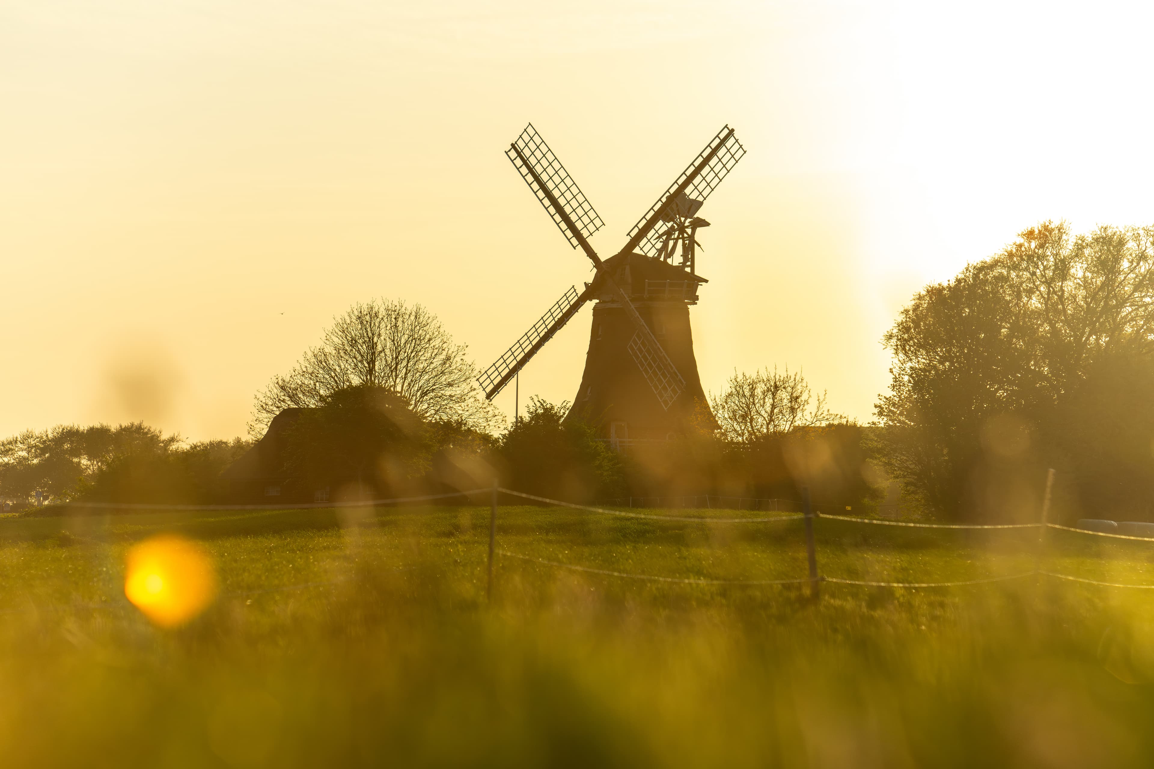 Blick auf die berühmte Windmühle in Borgsum im Abendlicht